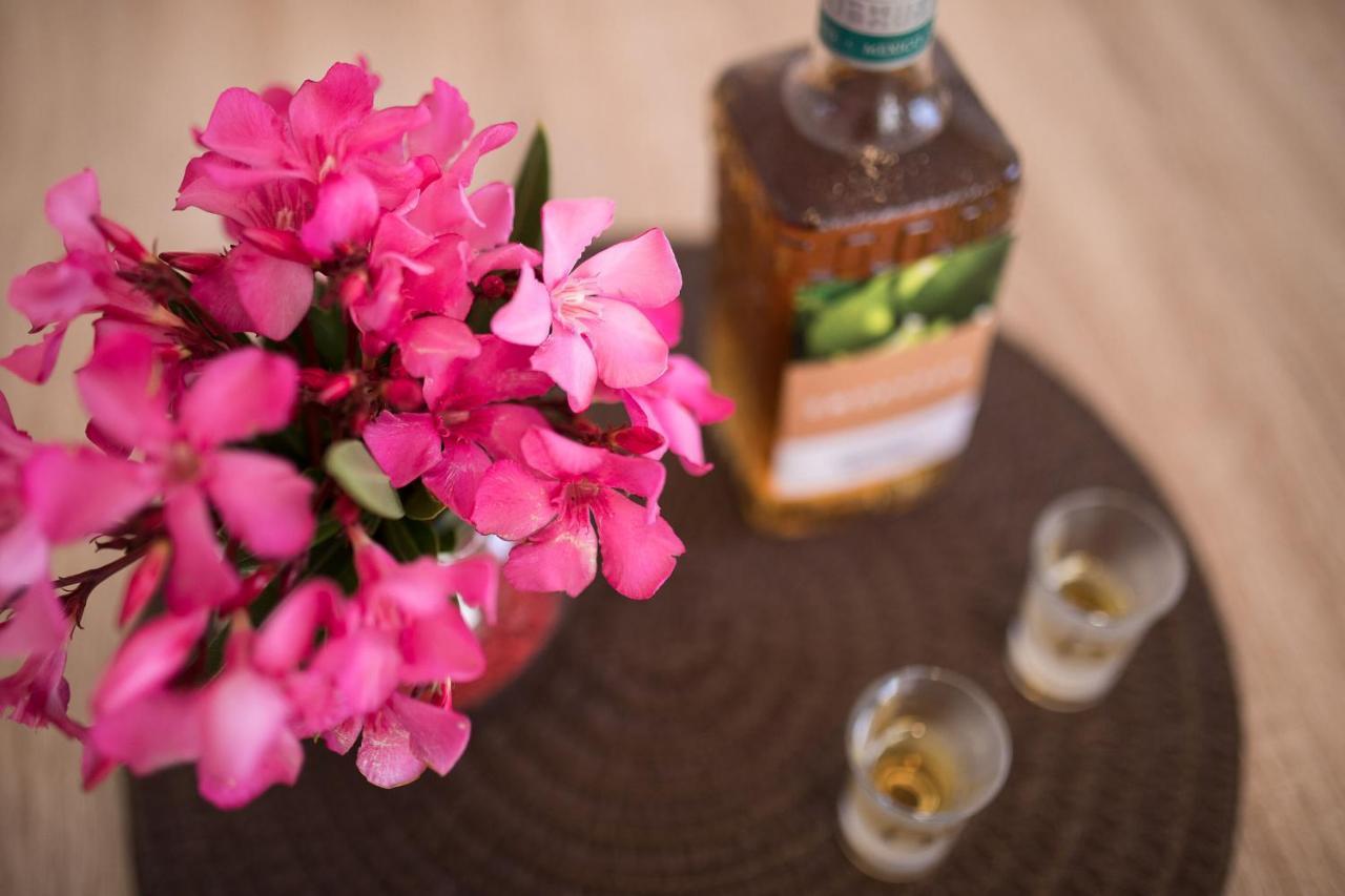Apartment Oleander プナト エクステリア 写真